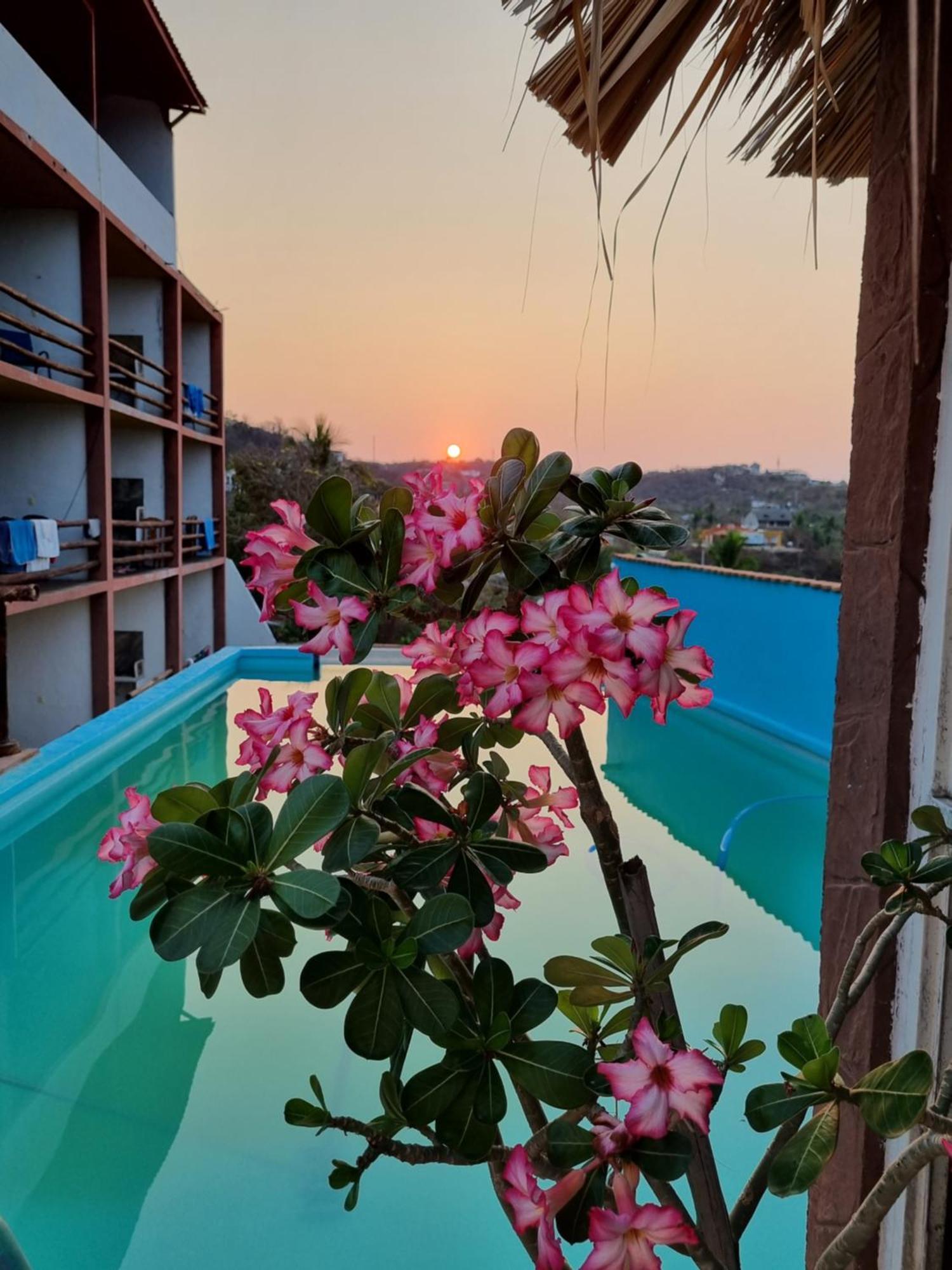 Namaste Zipolite Suites Экстерьер фото